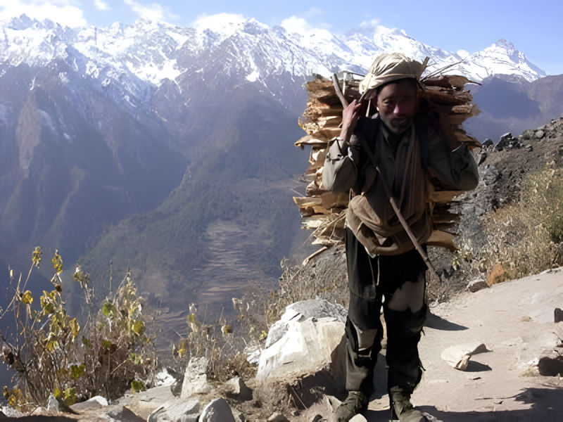 A Song on Deforestation in Nepal
