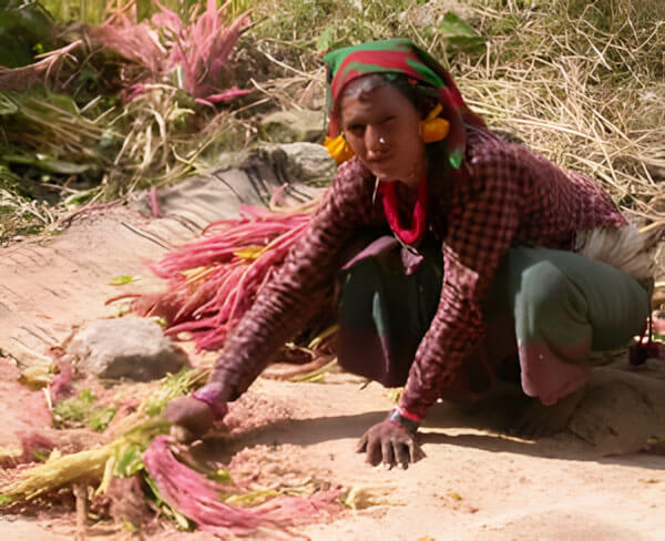 A Song of Women’s Struggles in Humla